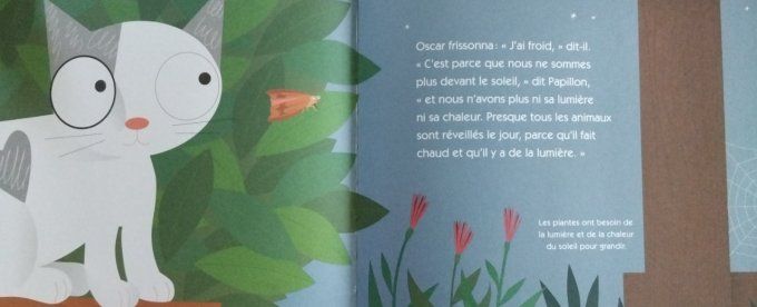 Oscar et papillon, un livre sur la lumière et l'obscurité