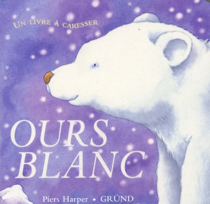 Ours blanc