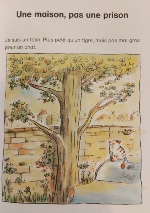 Pépère le chat, tome 1 la maison du chat