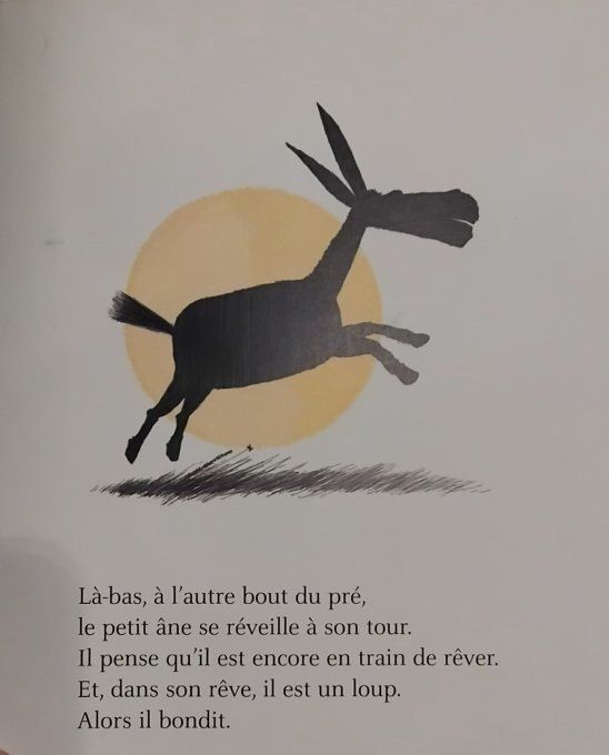 Petit âne veut être un loup