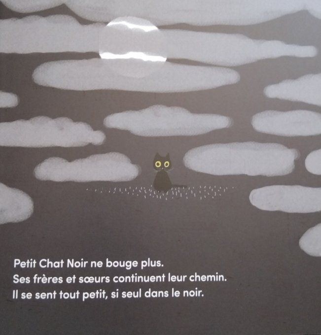 Petit chat noir a peur du soir