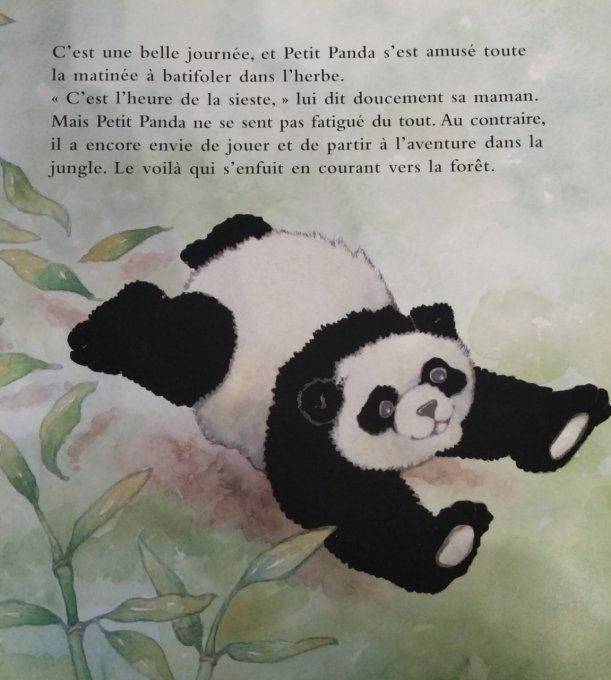 Petit Panda un livre à caresser