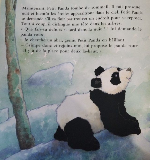 Petit Panda un livre à caresser