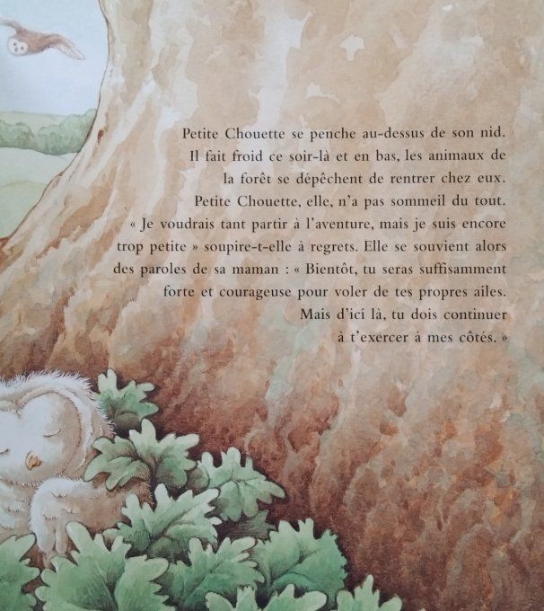 Petite chouette, un livre à caresser