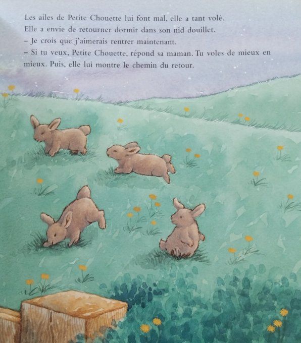 Petite chouette, un livre à caresser