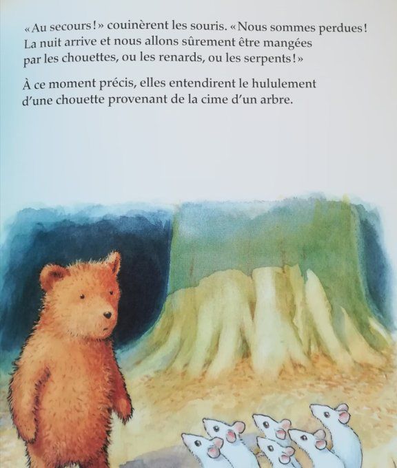 Petit ours mal peigné et les 6 souris blanches