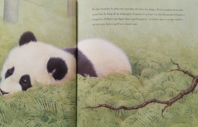 Pi-shu le petit panda