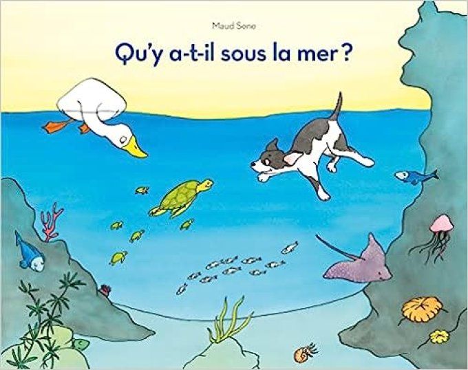 Qu'y a t-il sous la mer ?