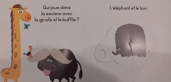 Tourner et apprendre, les animaux