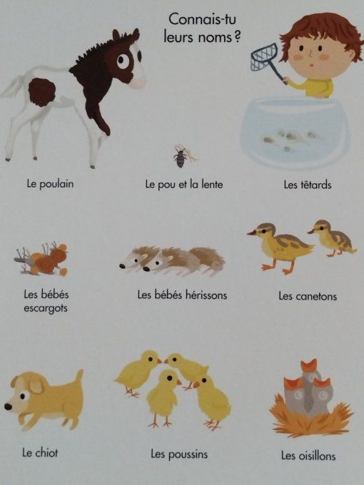 Tous les bébés