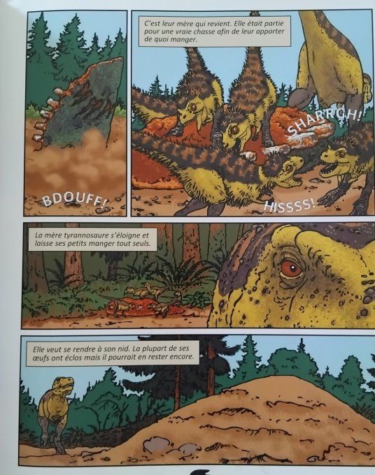 Dinos BD Tyrannosaure le lézard tyran