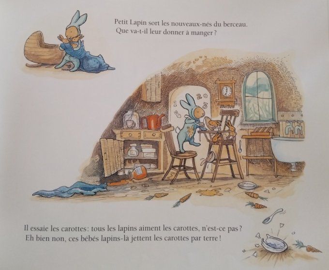 Un nouveau bébé chez Petit Lapin